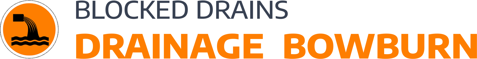 website logo